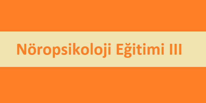 Nöropsikoloji Eğitimi III